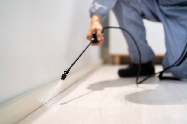 Licensed Cockroach Control service in West Branch, IA - Nex Pest Control
