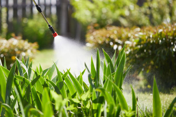 24/7 Emergency Cockroach Control experts in West Branch, IA