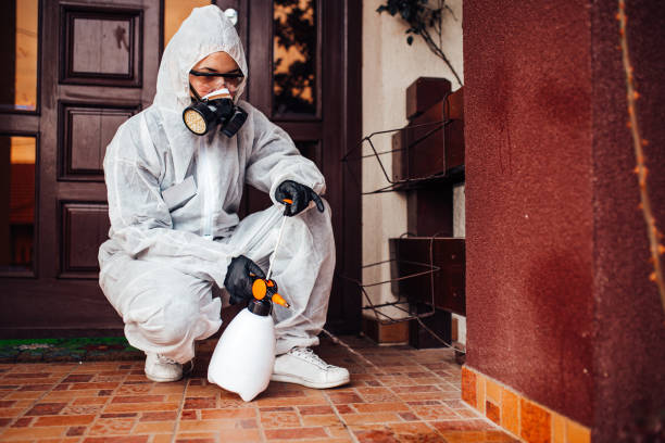 Reliable Cockroach Control contractor in West Branch, IA by Nex Pest Control