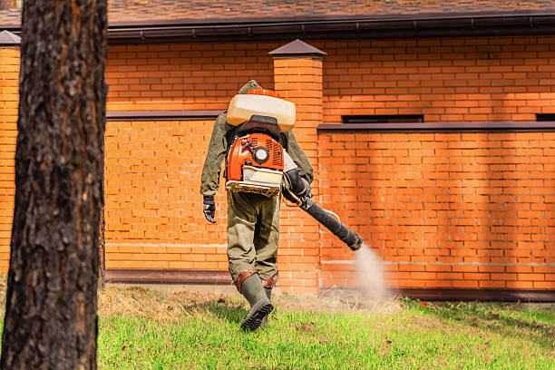 Trusted Bed Bug Control service in West Branch, IA - Nex Pest Control